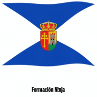Comunidad De Madrid Flag GIF by Formación Ninja