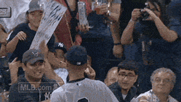 new york yankees baseball GIF by MLB