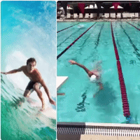 fin swimming GIF by The Videobook