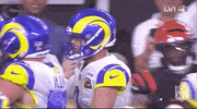 Super Bowl Football GIF by NFL