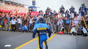 Fernandoalonso Wentpeo Formula1 F1 Alonso GIF