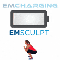 Bodybybtl emsculpt emface btlbustour emsella GIF