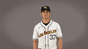 Cal State La Baseball GIF by Cal State LA Golden Eagles