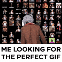 Searching For GIF