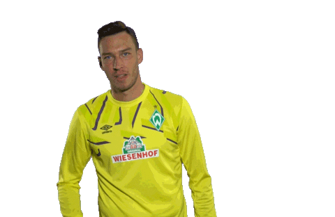 werderbremen giphyupload football bundesliga fussball Sticker