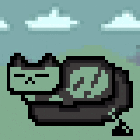 eynmaginaire giphyupload cat ginger ollie GIF