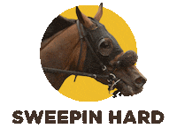 WoodbineRacetrack horse racing woodbine queens plate betwoodbinetb Sticker