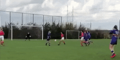 svDSOmeiden giphyupload GIF