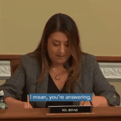 Congress Congresswoman GIF by Chris Cimino