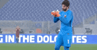 happy serie a GIF by AS Roma
