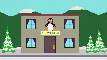 snow bird GIF by South Park 