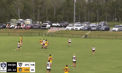 beartorius vfl footy aussie rules st kilda GIF