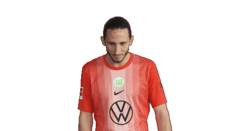 Happy Football Sticker by VfL Wolfsburg