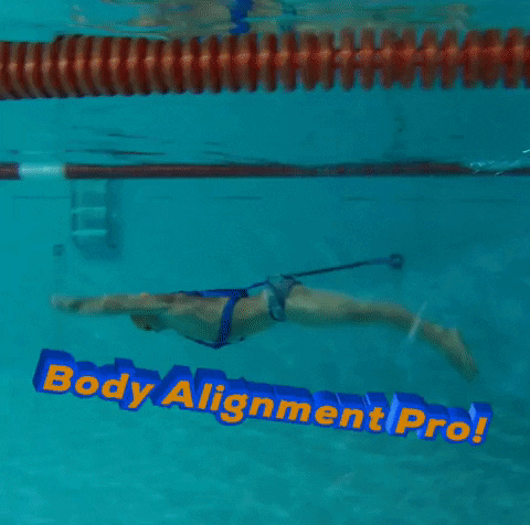 karlhamouche body alignment pro GIF