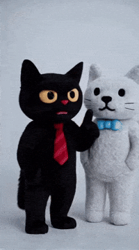 Cat GIF