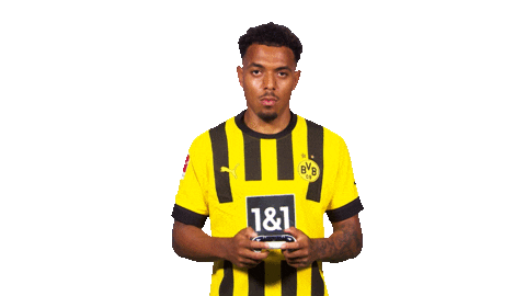 Playing Borussia Dortmund Sticker by Bundesliga