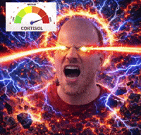 Cortisol Hustlehouse GIF