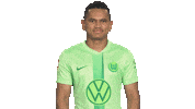Football Love Sticker by VfL Wolfsburg