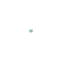 Fashion Shopping GIF by Payton Piper Boutique