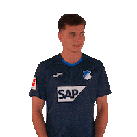 Sport Bundesliga Sticker by TSG Hoffenheim