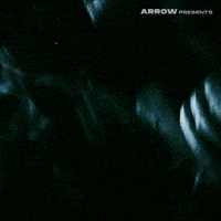 Texas Chainsaw Massacre Film GIF by Arrow Video