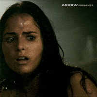 Texas Chainsaw Massacre Film GIF by Arrow Video