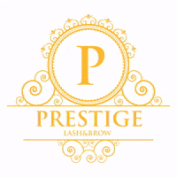 prestigelashbrow  GIF