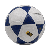 Bola Futevolei Sticker by Dalebol