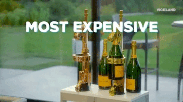 viceland GIF by MOST EXPENSIVEST