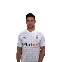 Celebrate Lars Stindl Sticker by Borussia Mönchengladbach