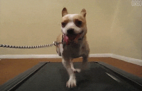 Never Ending Running GIF