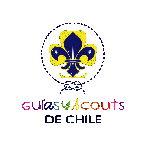 Scout Sticker by AGSCHILE