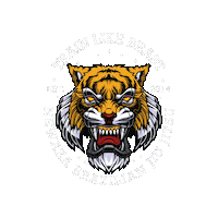 Jiujitsu Sticker by Rogerio