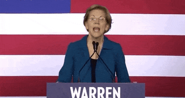 Elizabeth Warren GIF by Election 2020