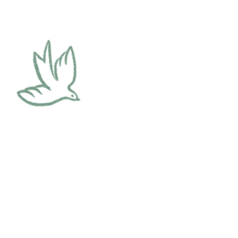 Schelske spirit spiritual dove book launch Sticker