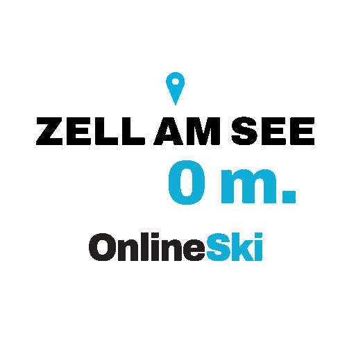 OnlineSki giphyupload Sticker