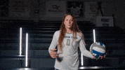 Georgia Tech Volleyball GIF by Georgia Tech Yellow Jackets