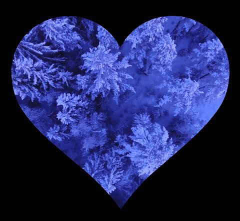 pogumax giphyupload like winter сердце GIF