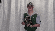 Collegebaseball Ncaadii GIF by RiverHawk Sports