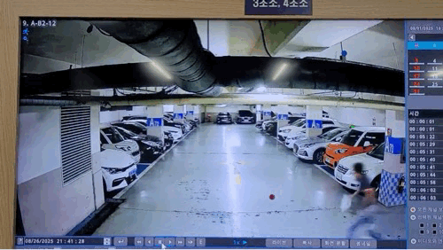 yj_jane giphyupload GIF