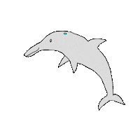 Dolphin Sticker