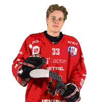 Steelers Sticker by HDD SIJ Acroni Jesenice