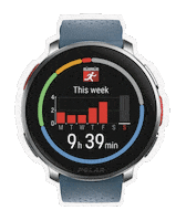 Polarhongkong sport run training hr Sticker