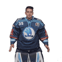 Hockey Applause Sticker by HC Škoda Plzeň
