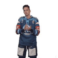 Hockey Applause Sticker by HC Škoda Plzeň