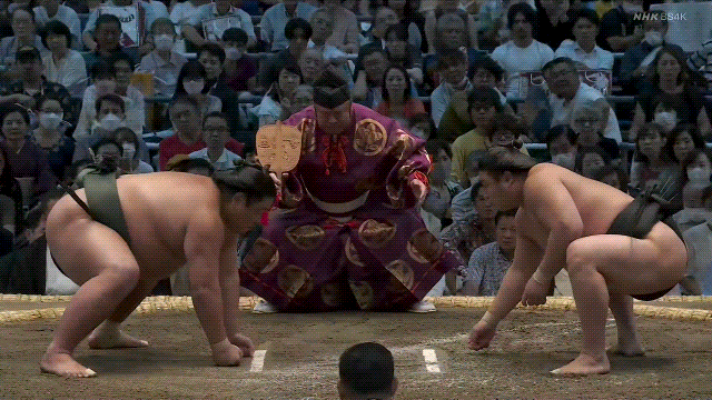 TZ85 giphyupload sumo 2023 nagoya basho nishikigi GIF