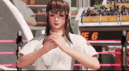 Dead Or Alive Fighting GIF