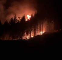 Monument Fire Grows to Over 71,800 Acres