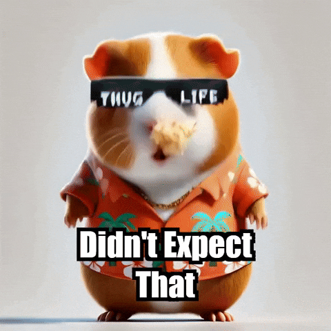 Twist Didnt Expect That GIF by Guinea Gambino