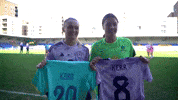 Handshake Scotland GIF by Football Australia